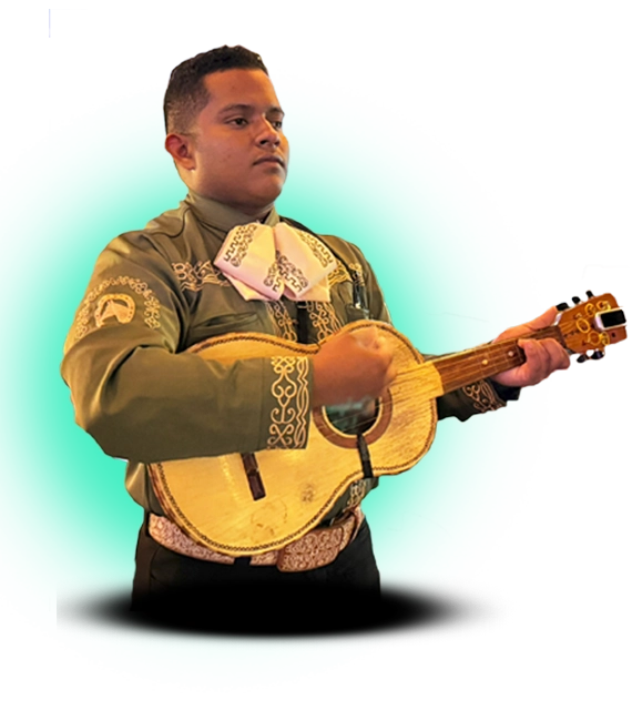 vihuelista pc1